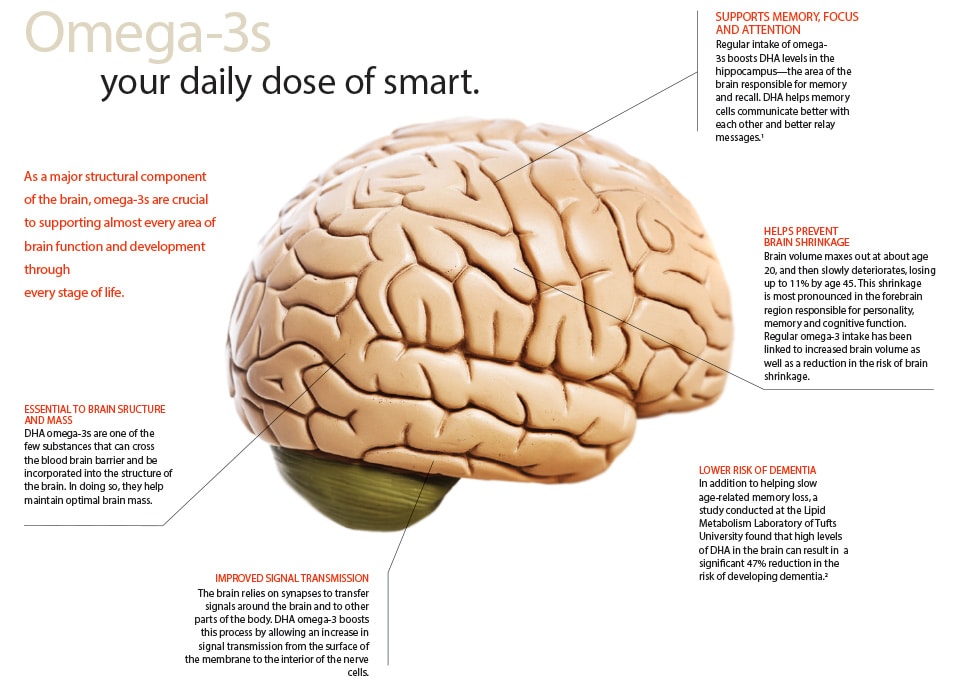Using Powerful Antiaging Practices To Have A Strong Memory
