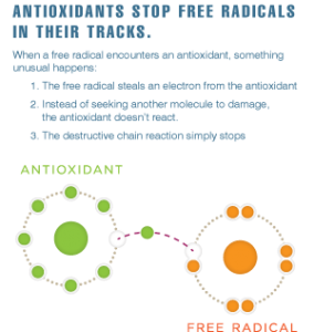 How antioxidants stop free radicals -a Melaleuca graphic