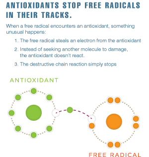How antioxidants stop free radicals -a Melaleuca graphic