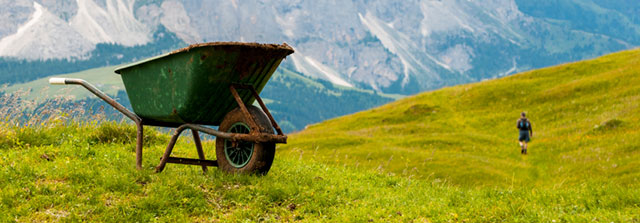 man leaving Melaleuca wheelbarrow