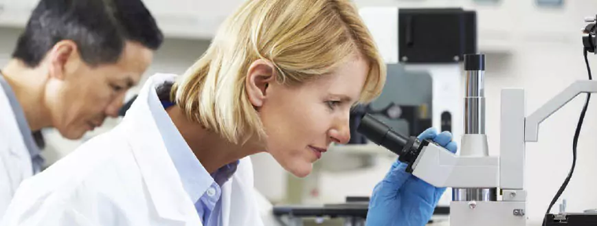 two scientist looking through microscopes