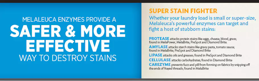 Melaleuca Enzymes provide a safer and more effective way to destroy stains