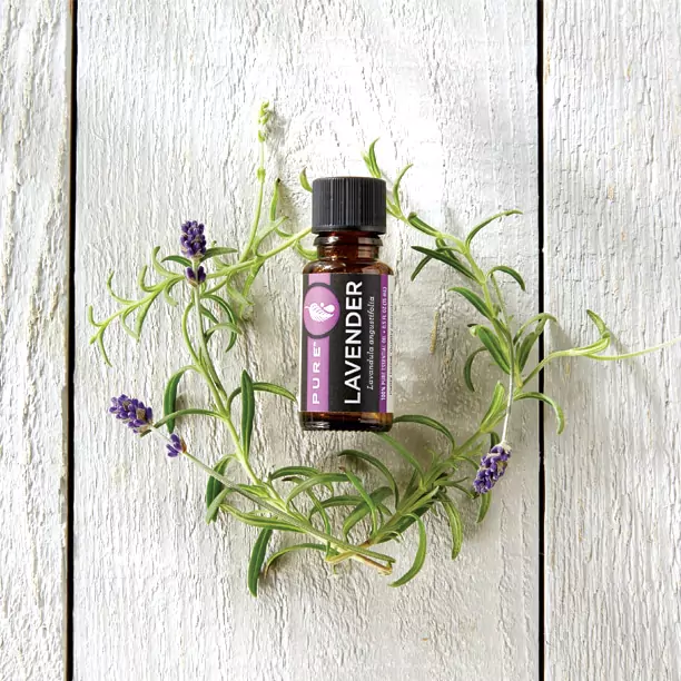 Melaleuca PURE Lavender Essential Oil