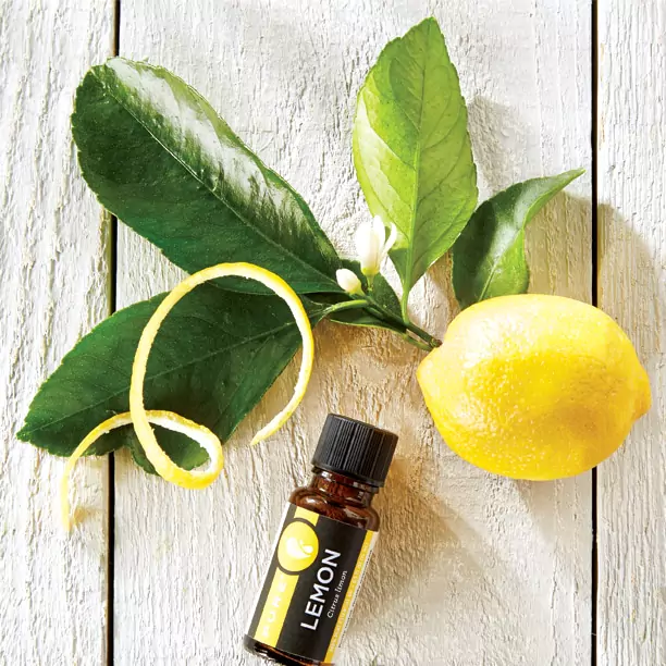 Melaleuca PURE Lemon Essential Oil