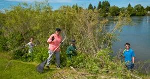 Melaleuca Employees clear out debris from local river walk